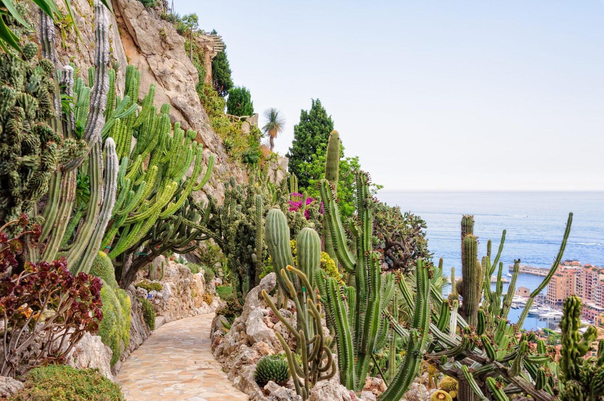 Sejour En Pleine Nature, Vue Imprenable, Jacuzzi Contes  Luaran gambar